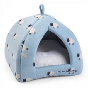 Counting Sheep Cat Igloo