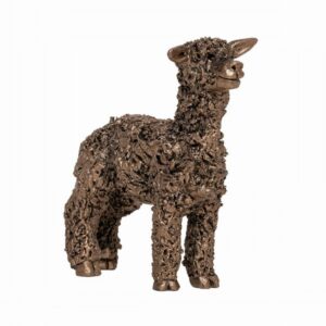 Miniature Alpaca Standing