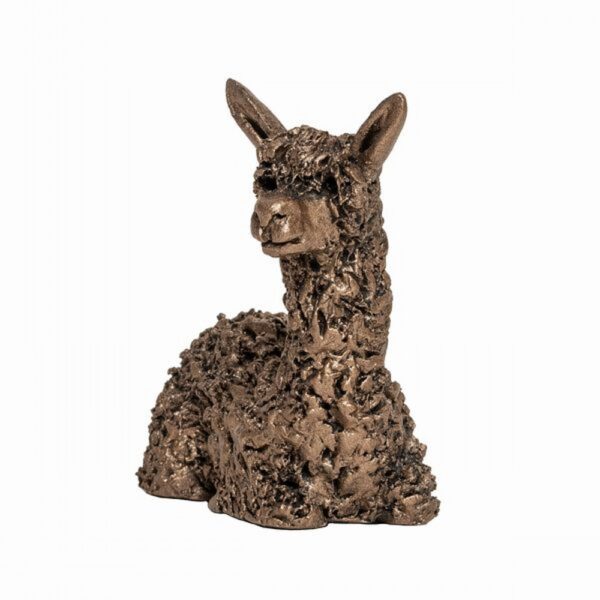 Miniature Alpaca Sitting