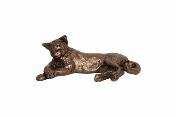 Sooty Cat Lying