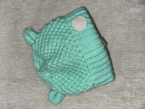Mint Hat With Ears Mint