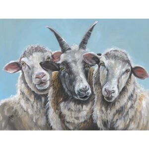 What Ewe Looking At