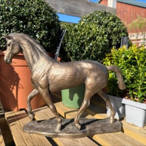 Woodland Spirit - Thoroughbred