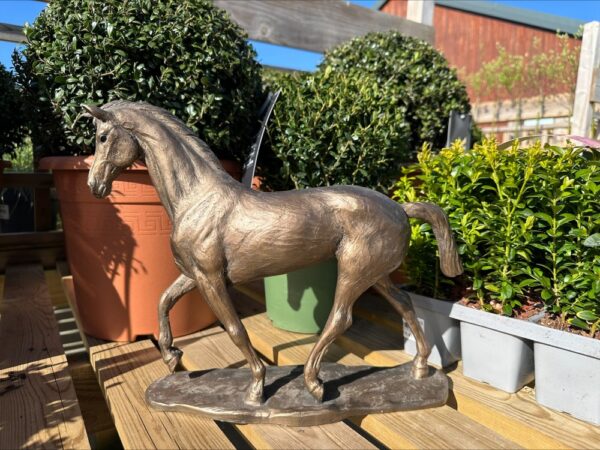 Woodland Spirit - Thoroughbred