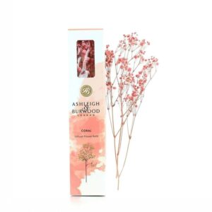 Gypsophilia Flowers - Coral
