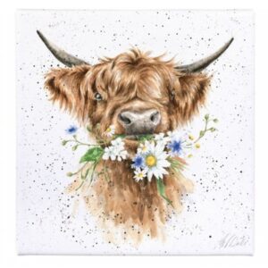 20Cm Daisy Cow