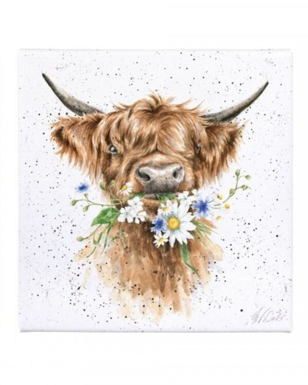 20Cm Daisy Cow