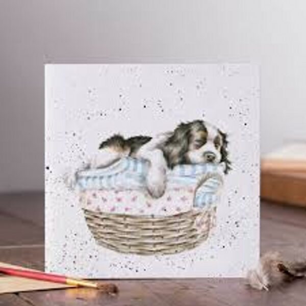Wash  Dry  Fold  Repeat (Dog) Card