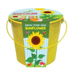 Kids Grow Your Own Sunflowers