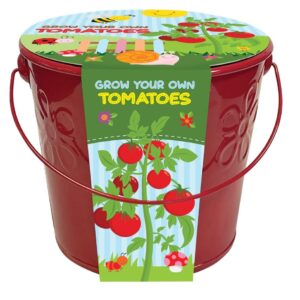 Kids Grow Your Own Tomatoes
