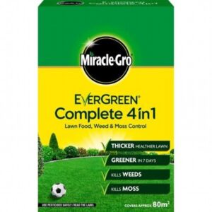 EVERGREEN COMPLETE 80m2 + 25
