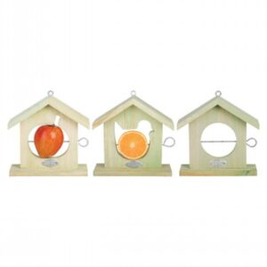 Apple Feeder
