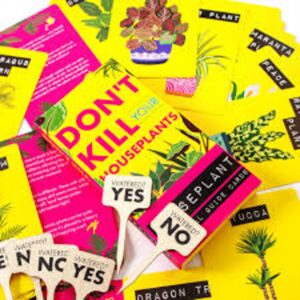 Dont kill your houseplants