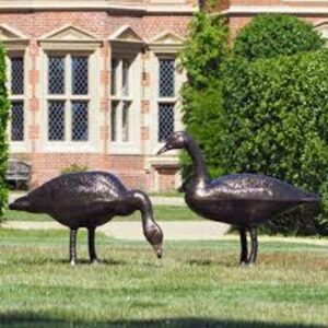 Geese Pair