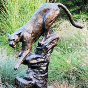 Cougar On Rock