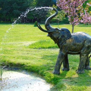 Fountain Elephant Water Ft