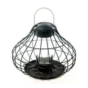 Essential Squirrel Resistant Seed Feeder