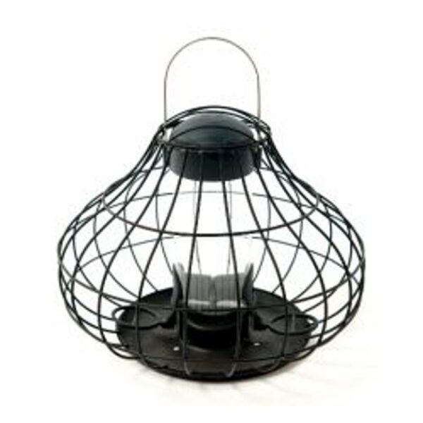 Essential Squirrel Resistant Seed Feeder