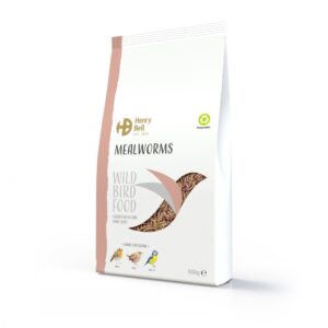 Mealworm 500G