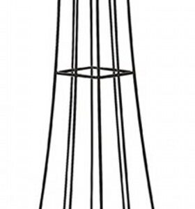 Colonius  Large