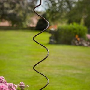 Botanical Spiral Plant Support