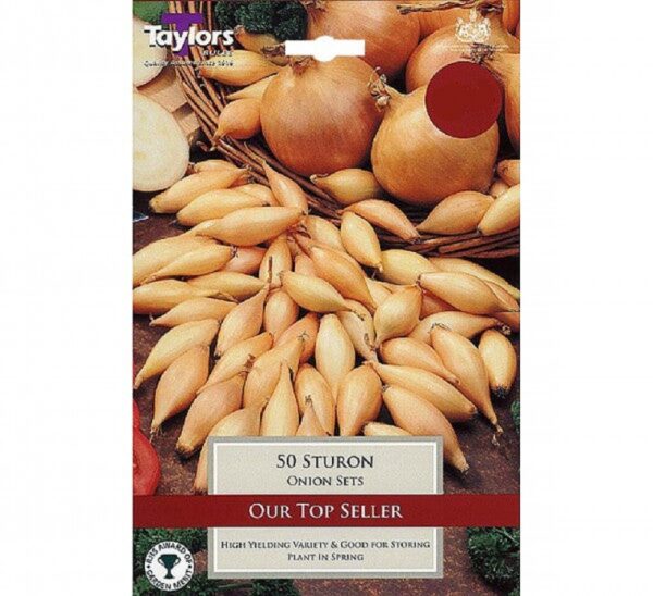 50 ONION STURON 14-21