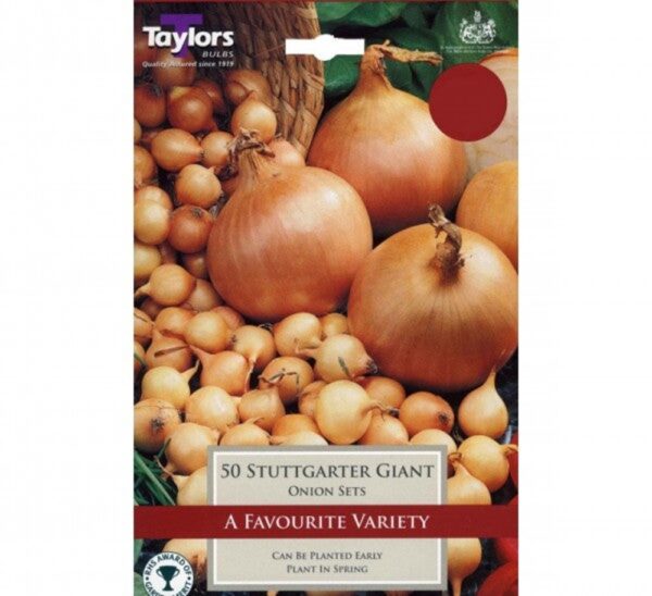 50 ONION STUTTGARTER GIANT 14-21