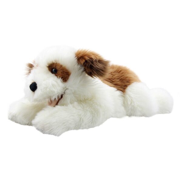 Playful Puppies: Brown & White Puppy