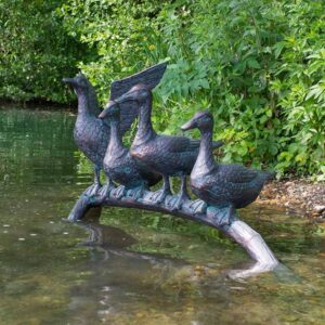Ducks Resting