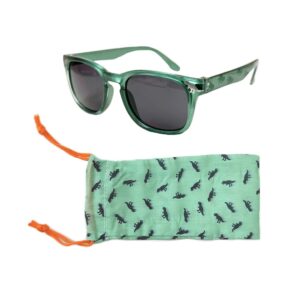 Dinosaur Sunglasses