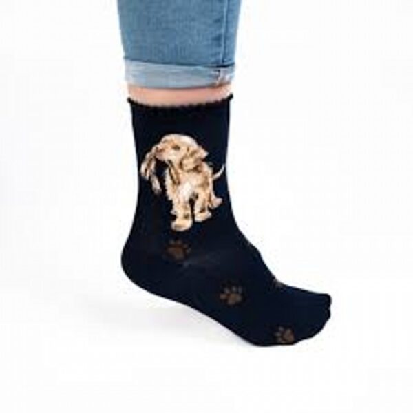 Dog Sock - Hopeful - Navy