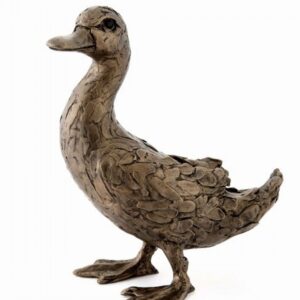 Darcy Duck