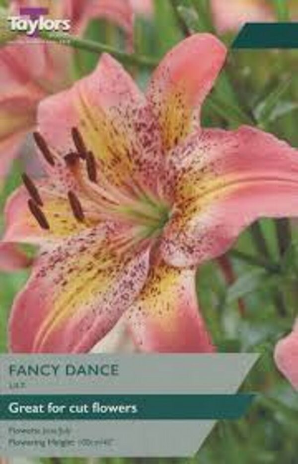 2 Lily Fancy Dance 14-16