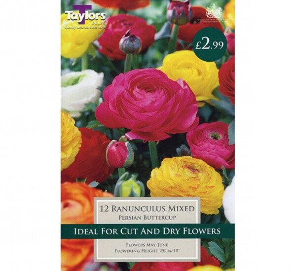 12 RANUNCULUS MIX 5-6