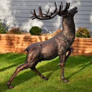 Red Deer