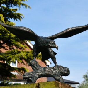 Eagle On Wood