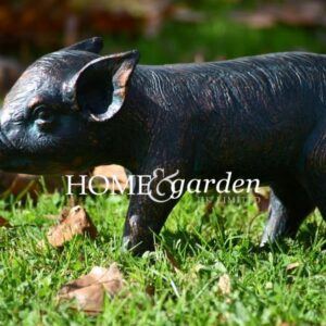Piglet Standing