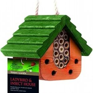 Ladybird And Insect House