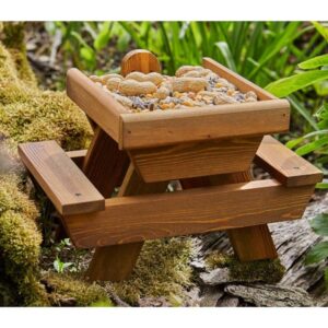 Squirrel Picnic Place