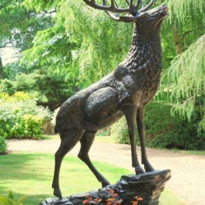 ELK ON STONE