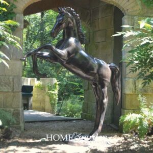 HORSE - FOAL REARING