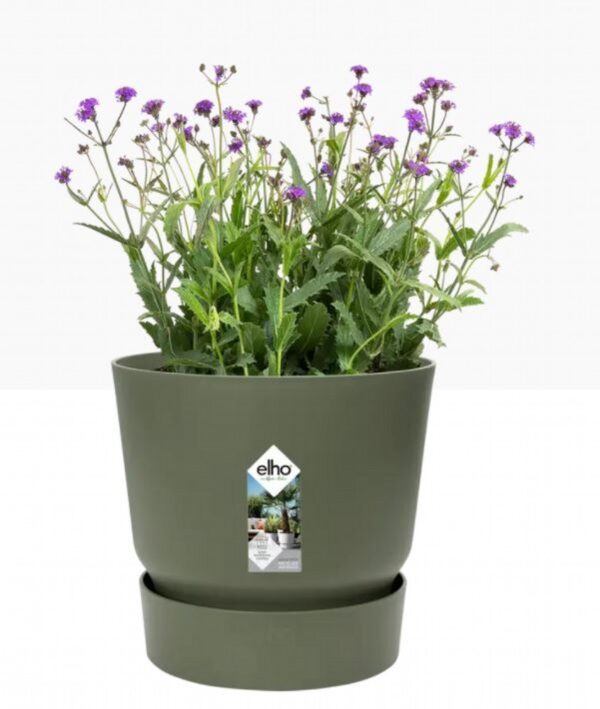 GREENVILLE ROUND Green 20cm