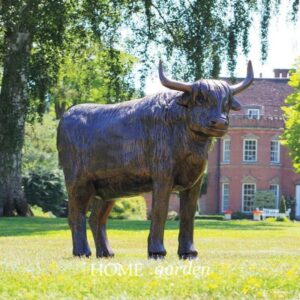 COW - HIGHLAND