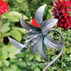 HUMMING BIRD