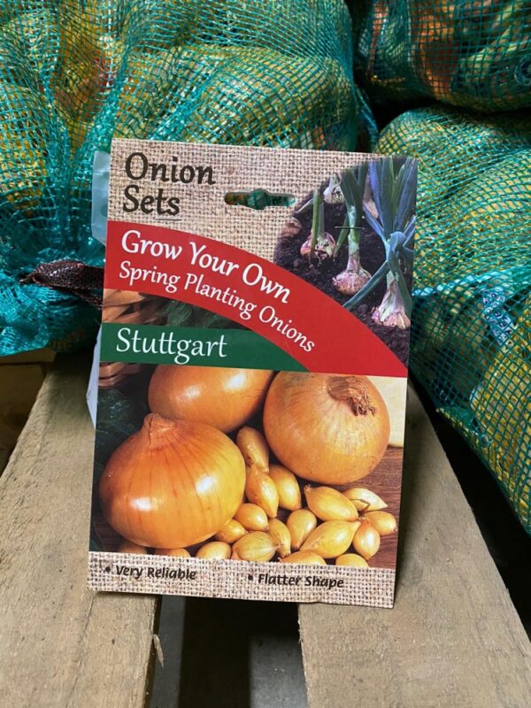 ONIONS STUTTGART