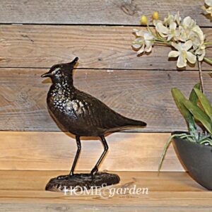 Bird - Lapwing