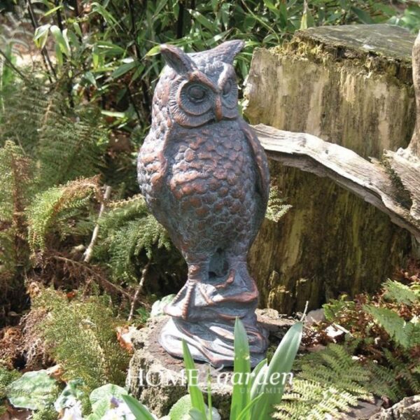 OWL LONG EARED