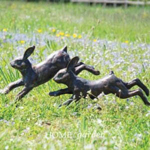 Rabbits Running