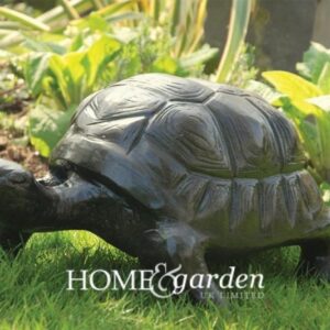 TORTOISE - SMALL