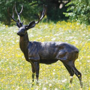 DEER - STAG STANDING